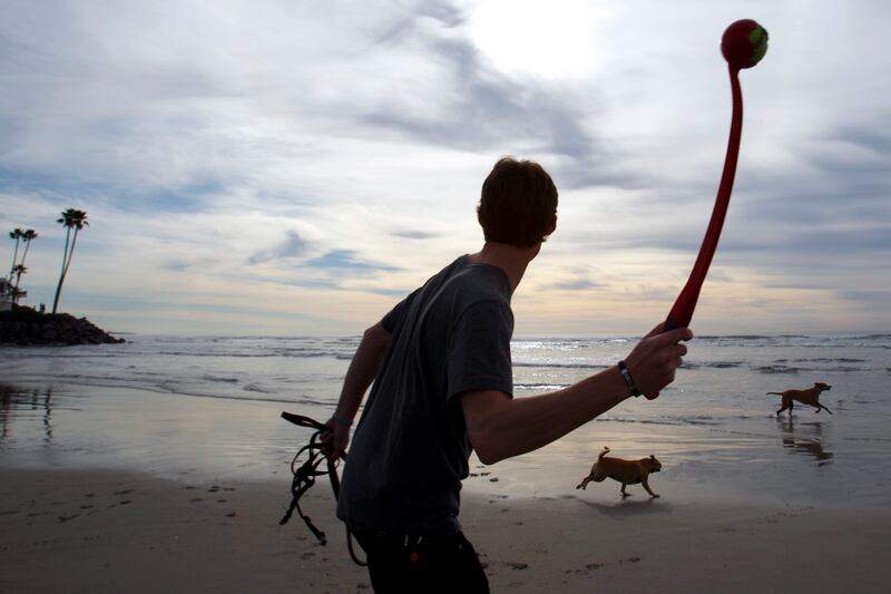 galleries/2011/07/31/most-popular-us-beaches-photos/encinitas-beach_djex0e