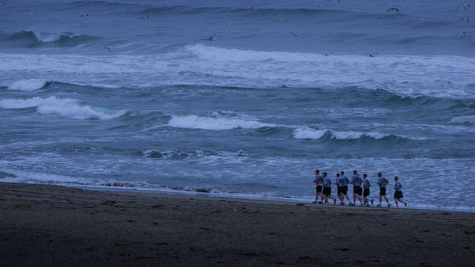 BODEGA BAY, CA - AUGUST 2: A blustery, foggy day is viewed as a group of Coast Guard cadets run along the beach near Salmon Creek on August 2, 2014, in Bodega Bay, California. Sonoma County's rustic Pacific Ocean coastline attracts millions of Bay Area and global tourists each year. (Photo by George Rose/Getty Images)