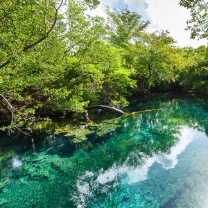 200124-Ozols-Grupo-Puntacana-tourism-voluntourism-program-tease_wugrzq