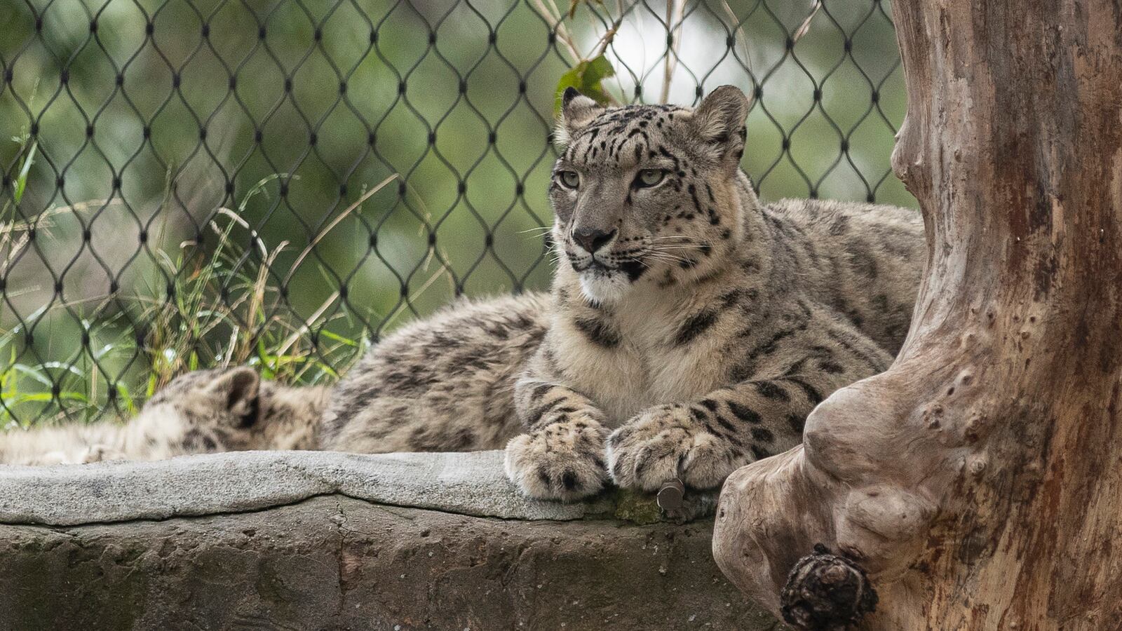 GettyImages-1239139867_e9vbua