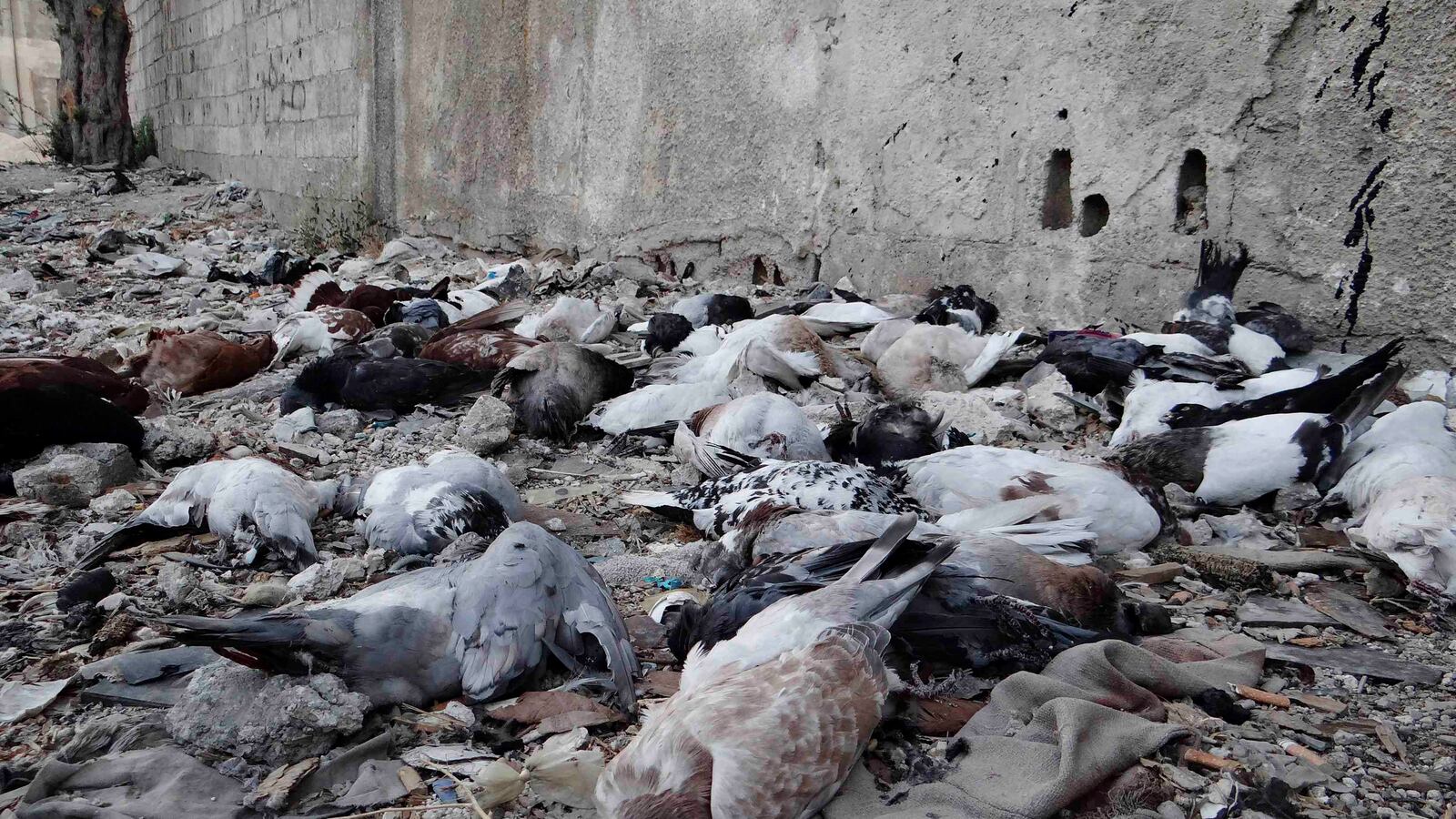 cheats/2013/08/25/syria-we-ll-let-in-u-n-inspectors/130825-syria-chemical-weapons-cheat_q1lmyr