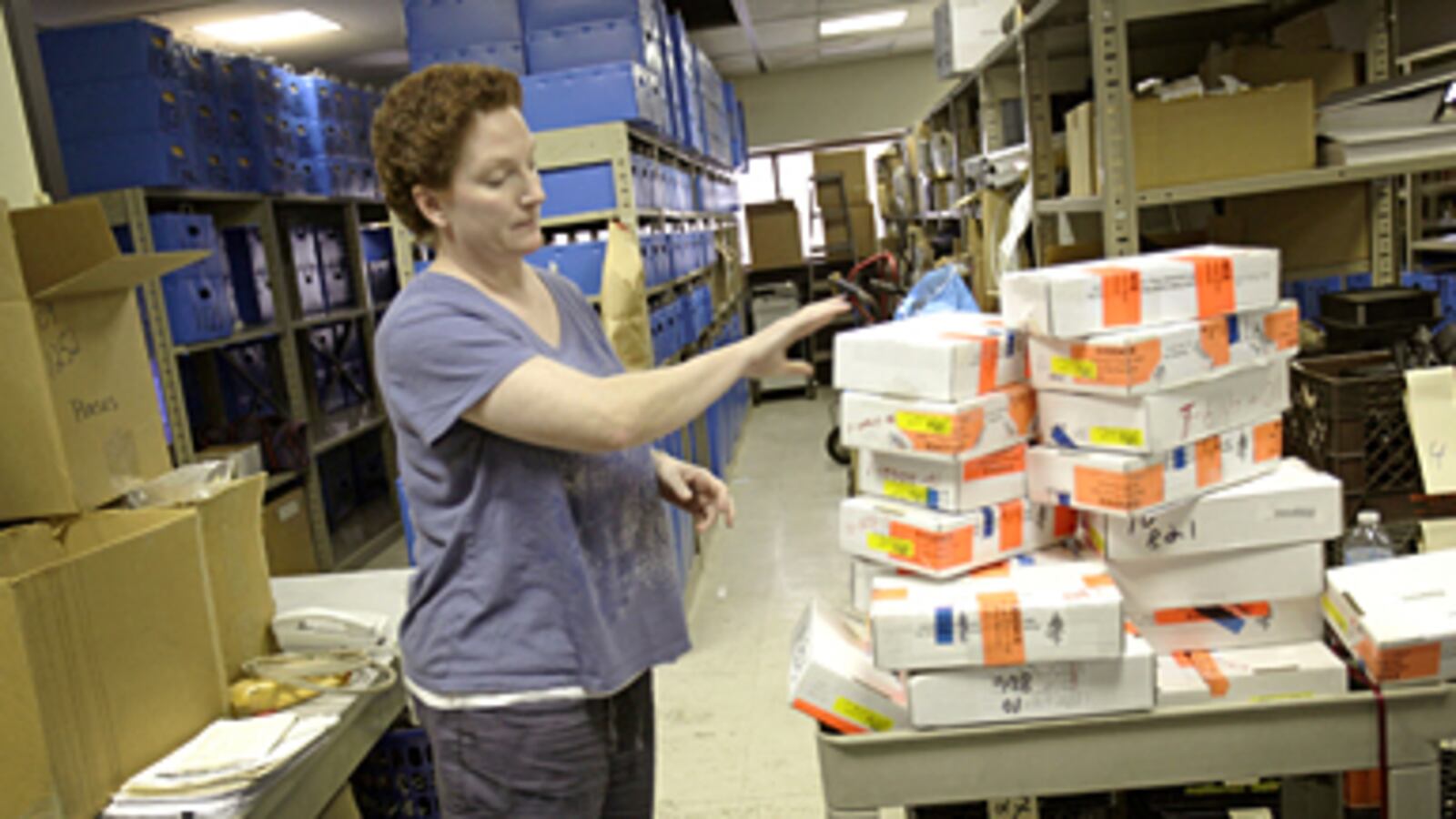 articles/2011/02/25/unsolved-rapes-how-testing-the-rape-kit-backlog-could-solve-thousands/fairstein-rape-kits_162564_mpurwn