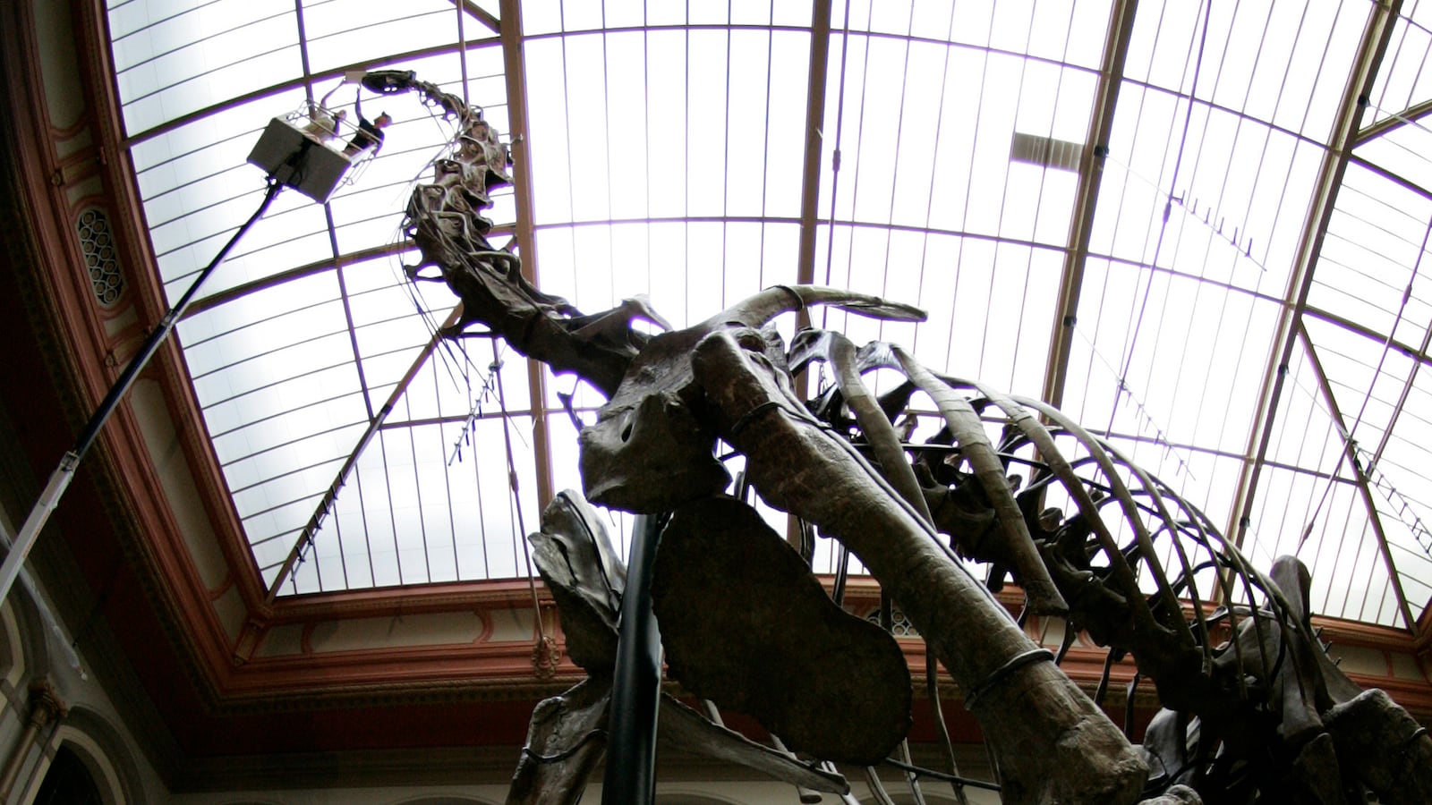 2007-06-01T120000Z_1591549459_BM2DVJSTGBAA_RTRMADP_3_GERMANY_yqz7y6