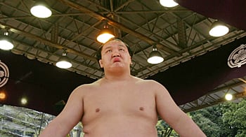 cheats/2011/02/03/japan-rocked-by-sumo-scandals/sumo-wrestling_geaxsr