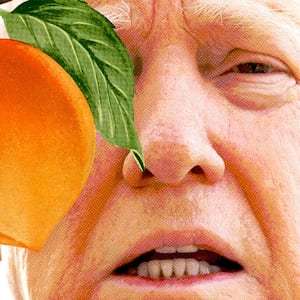 Donald Trump, peach