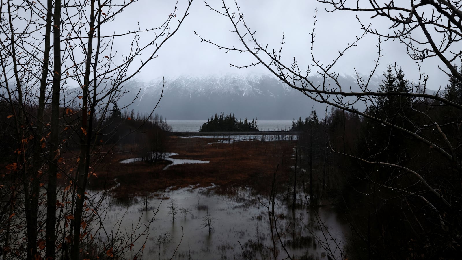Flooded marsh sits along the Turnagain Arm, a waterway into the Gulf of Alaska, during heavy rain outside Girdwood, Alaska, U.S., October 31, 2021.