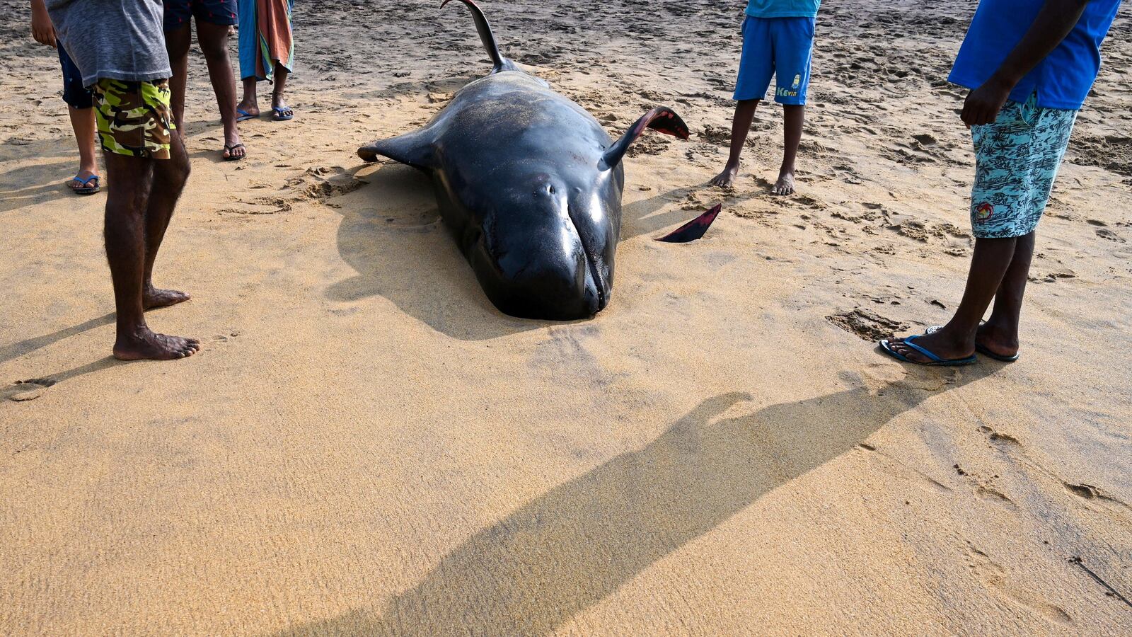 GettyImages-1229427883_v1twgo