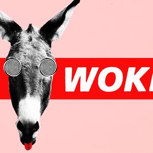 190401-lewis-woke-dems-tease_vwfava