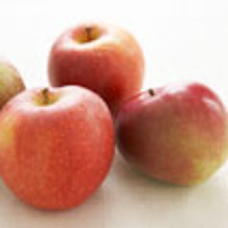 articles/2009/12/08/5-recipes-from-the-jewish-julia-child/levy-hanukkah---apple-sauce_fnuxfn