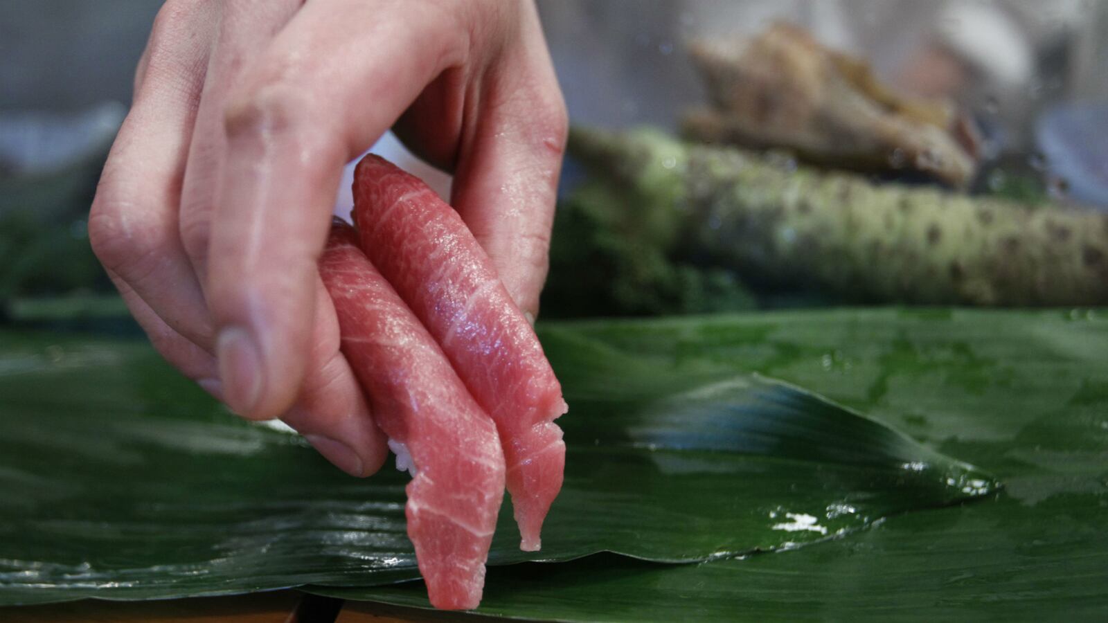 cheats/2015/05/21/53-people-across-9-states-sick-from-tuna/150521-raw-tuna-salmonella-outbreak-cheat_bpkezq