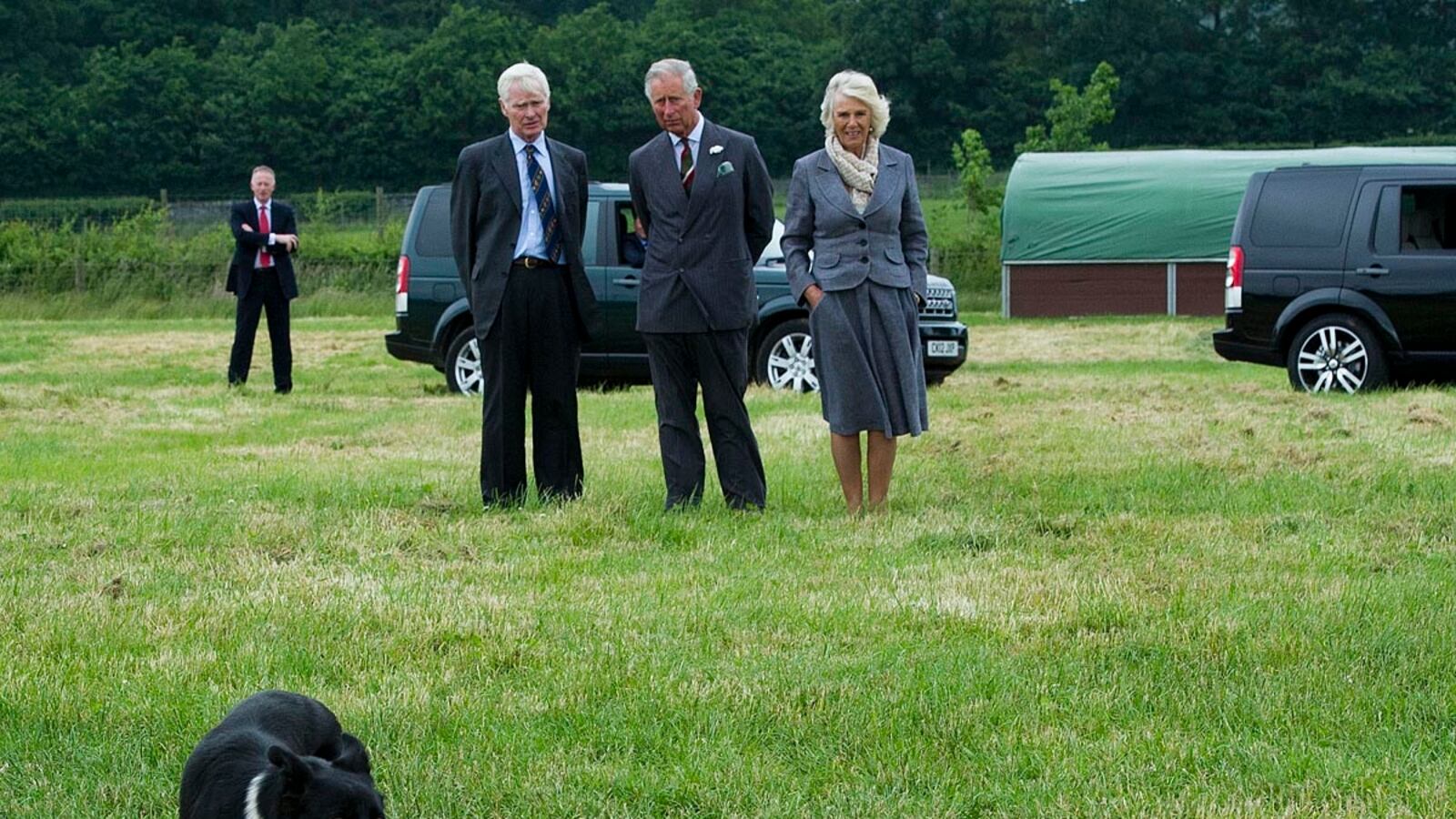 articles/2014/05/07/prince-charles-s-chickens-killed-by-foxes/chaz-chick_njonun