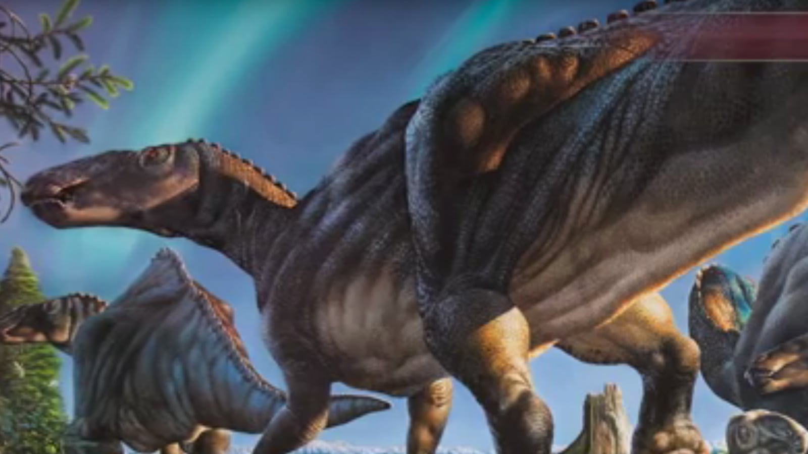 articles/2015/09/24/new-dinosaur-is-a-moose-duck-sort-of/150924-coolman-dinosaur-tease_jgpqe5