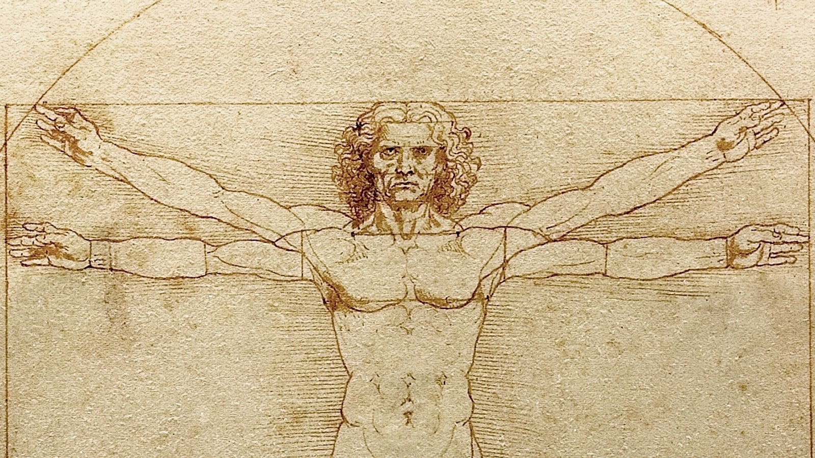 Leonardo da Vinci (Italian, 1452-1519), Vitruvian Man (Canon of Proportions), c. 1490, pen and ink with wash over metalpoint on paper, 34.4 × 25.5 cm (13.5 × 10 in), Gallerie dell'Accademia in Venice. (Photo by VCG Wilson/Corbis via Getty Images)