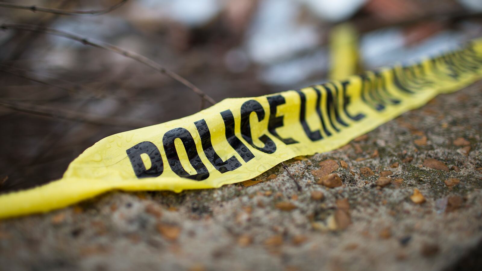 GettyImages-466142740_fqqz7m