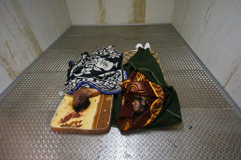 galleries/2011/10/27/photo-of-the-day/picture-of-day-10-22_t9o8um