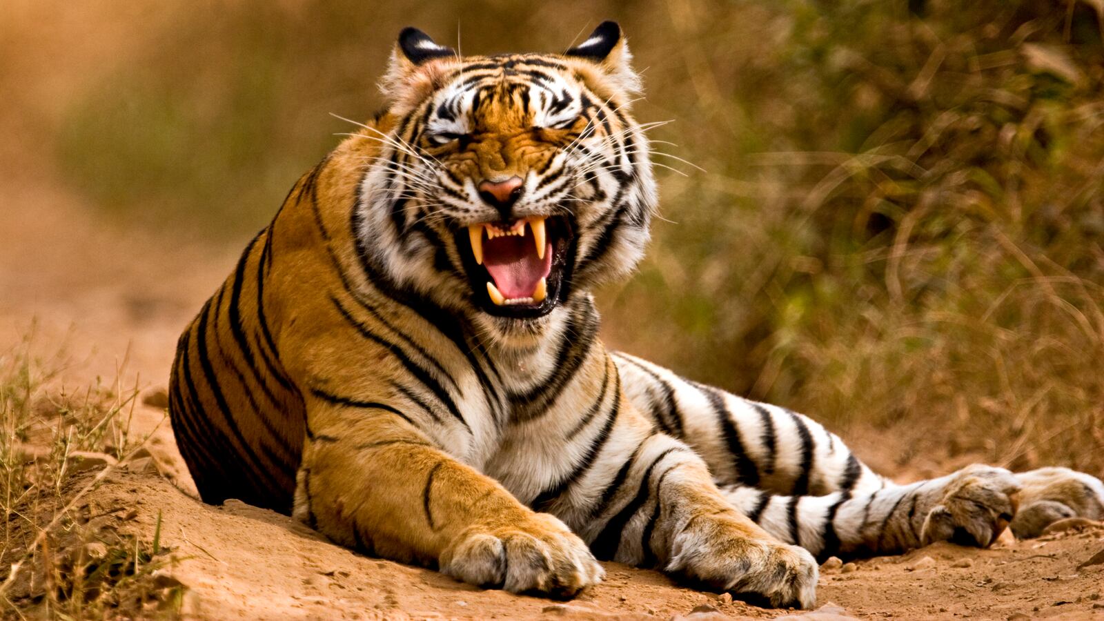 GettyImages-150644788_uoktdt