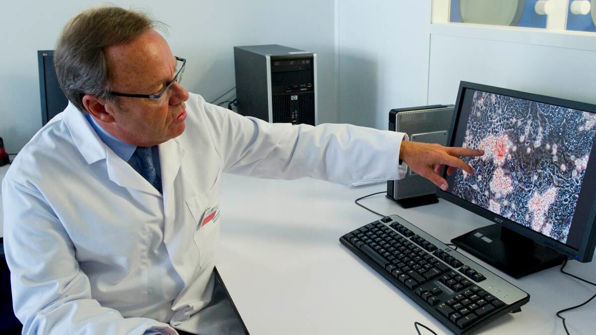 cheats/2016/06/10/study-stem-cell-treatment-can-halt-ms/160610-stem-cell-MS_gp4cve