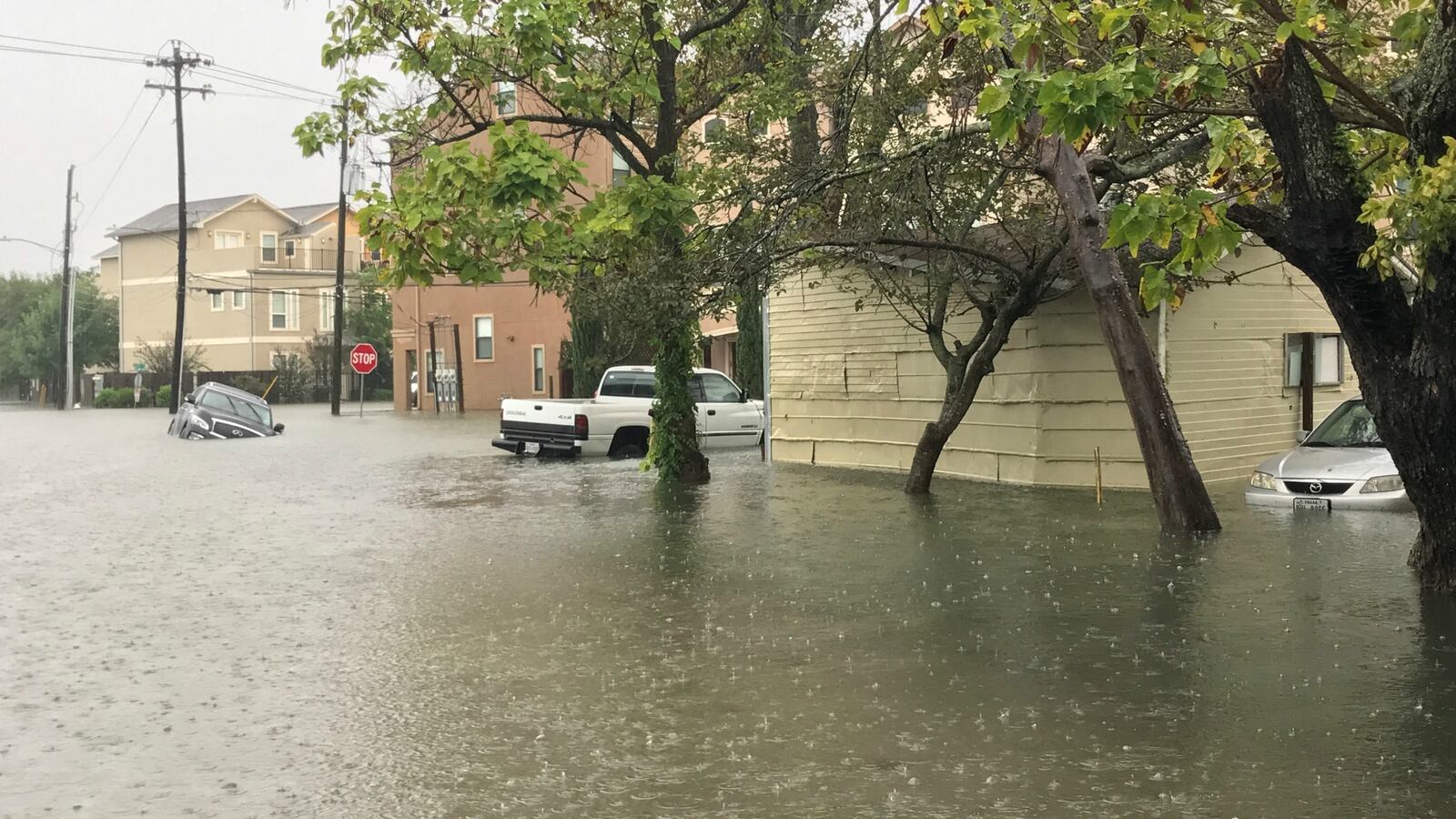 170827-dickinson-cheat_d92bue