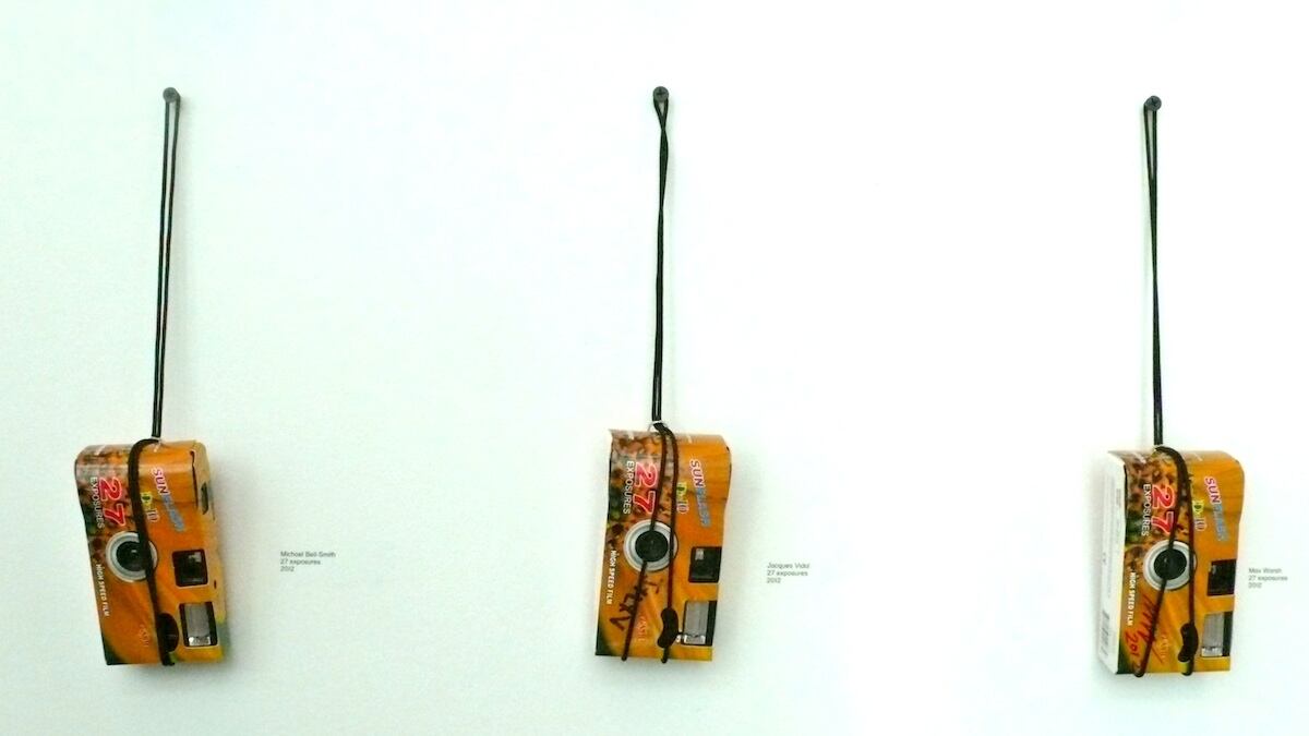 articles/2012/12/06/disposable-cameras-by-w-are-the-daily-pic-by-blake-gopnik/cameras-daily-pic_zp3wyl