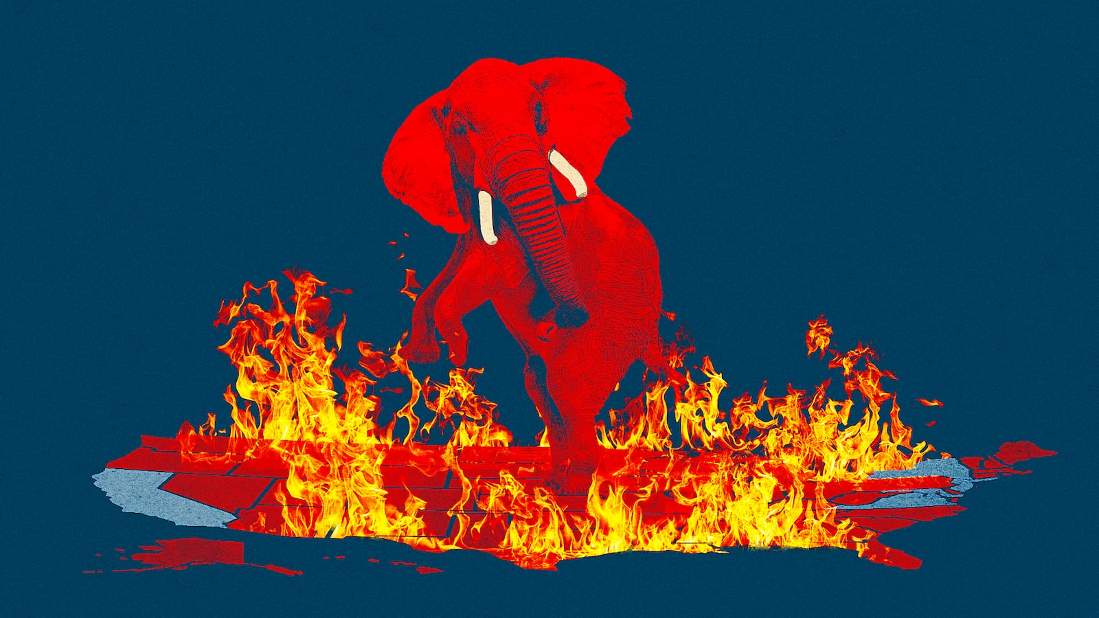 MAGA suffers losses nationwide in the November 4, 2025 election.