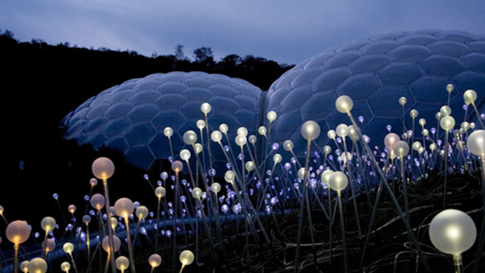 galleries/2008/12/23/festival-of-lights/light-munro-field-of-light_yc2yp3