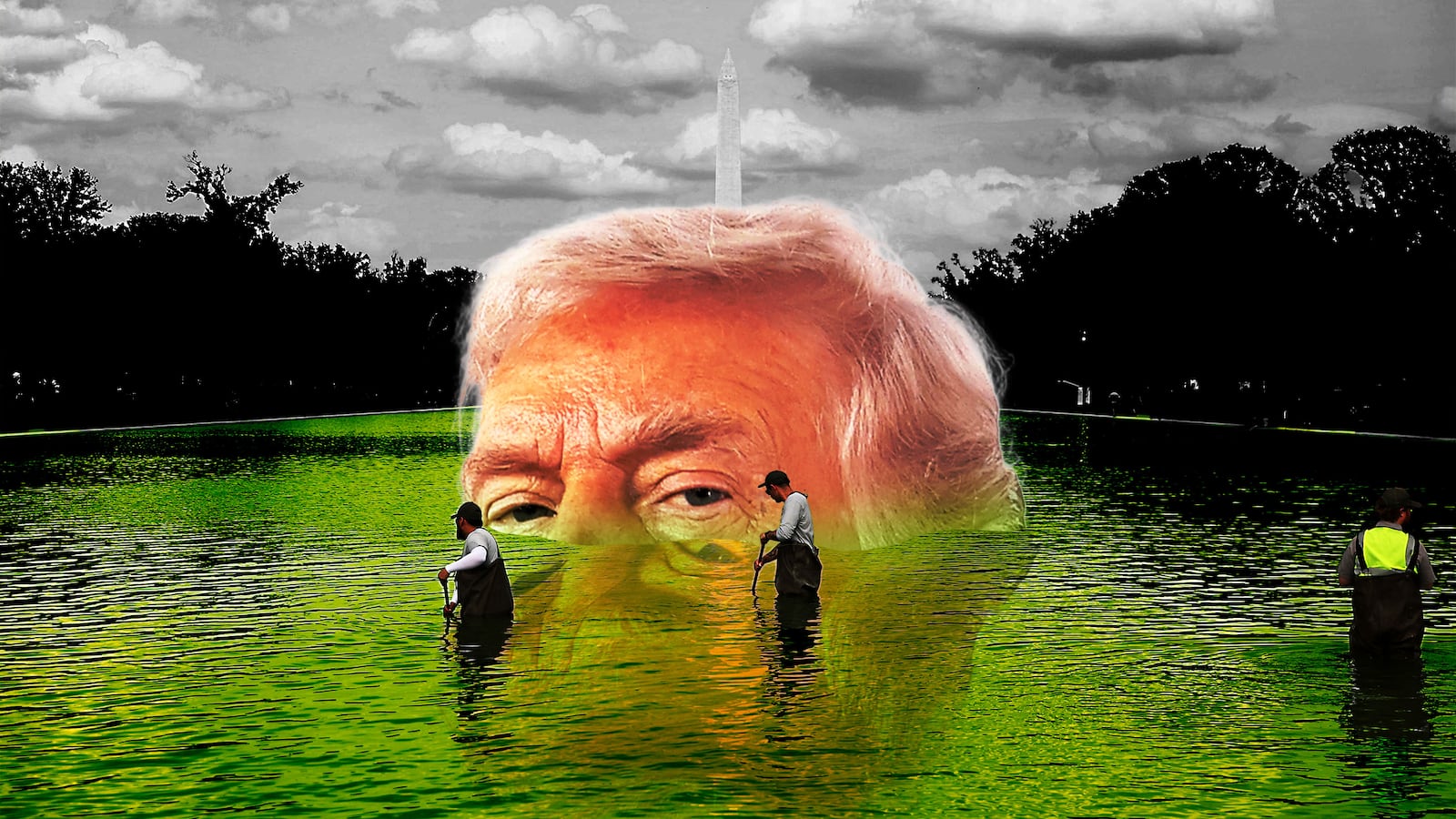 Donald Trump, reflecting pool