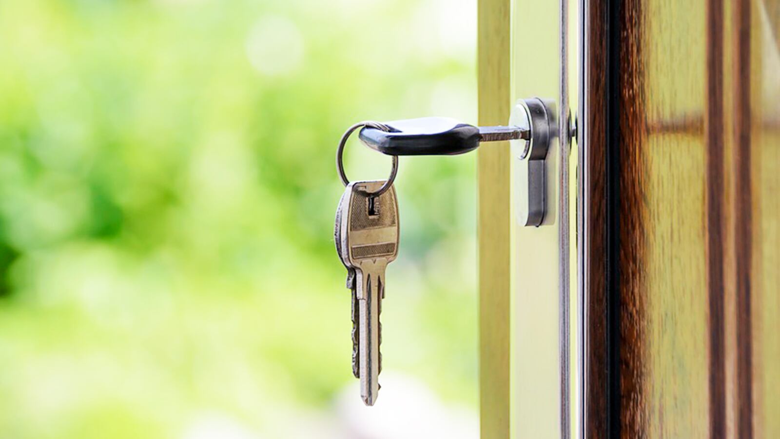 Branded-Article-Header-1991_ez48lj