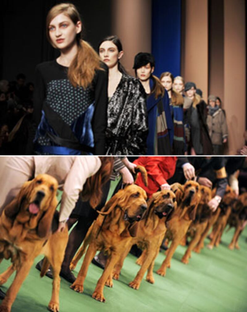 galleries/2010/02/16/westminster-fashion/westminster-fashion---dkny_zlbwmb