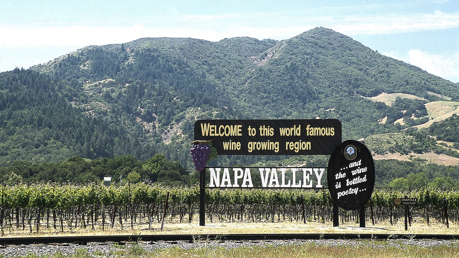 180308-Dinkelspiel-napa-valley-tease_qvgg1b