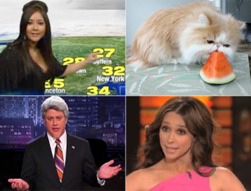 articles/2010/01/15/january-16-the-week-in-viral-videos/viral-video-115_75554_feod1t