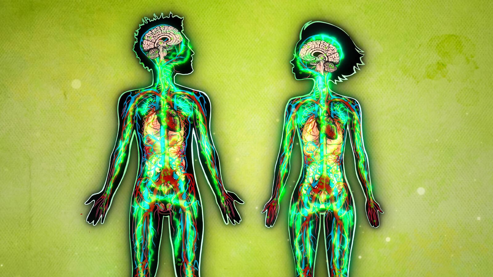 200825-Schager-CBD-nation-tease_xyc58t