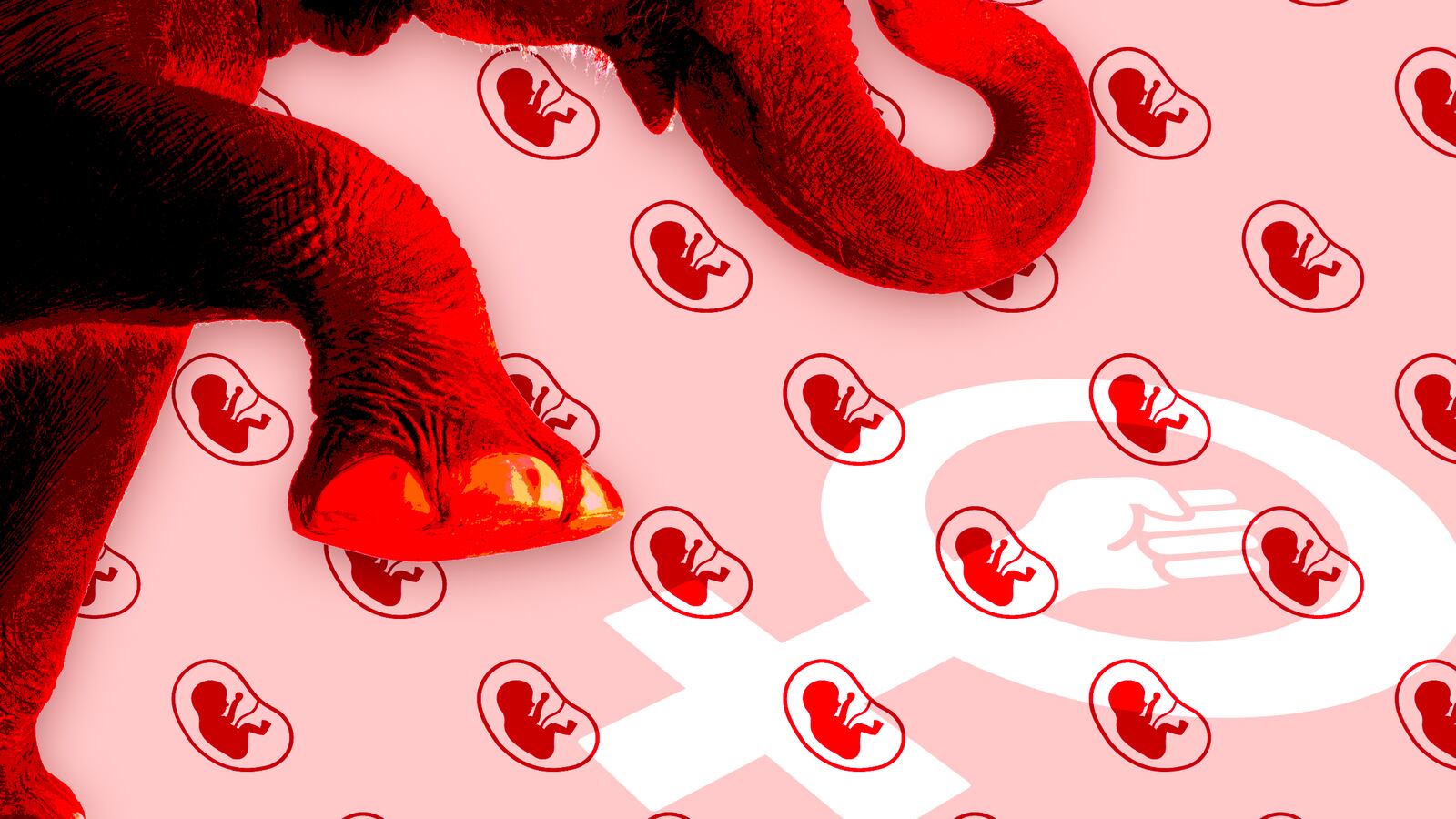 180903-torey-van-oot-abortion-hero_cdnkur