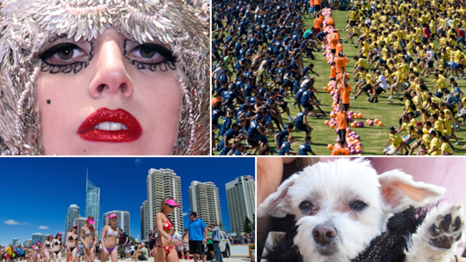 galleries/2011/11/30/world-records-broken-in-2011-photos/world-records-tease_uapdts