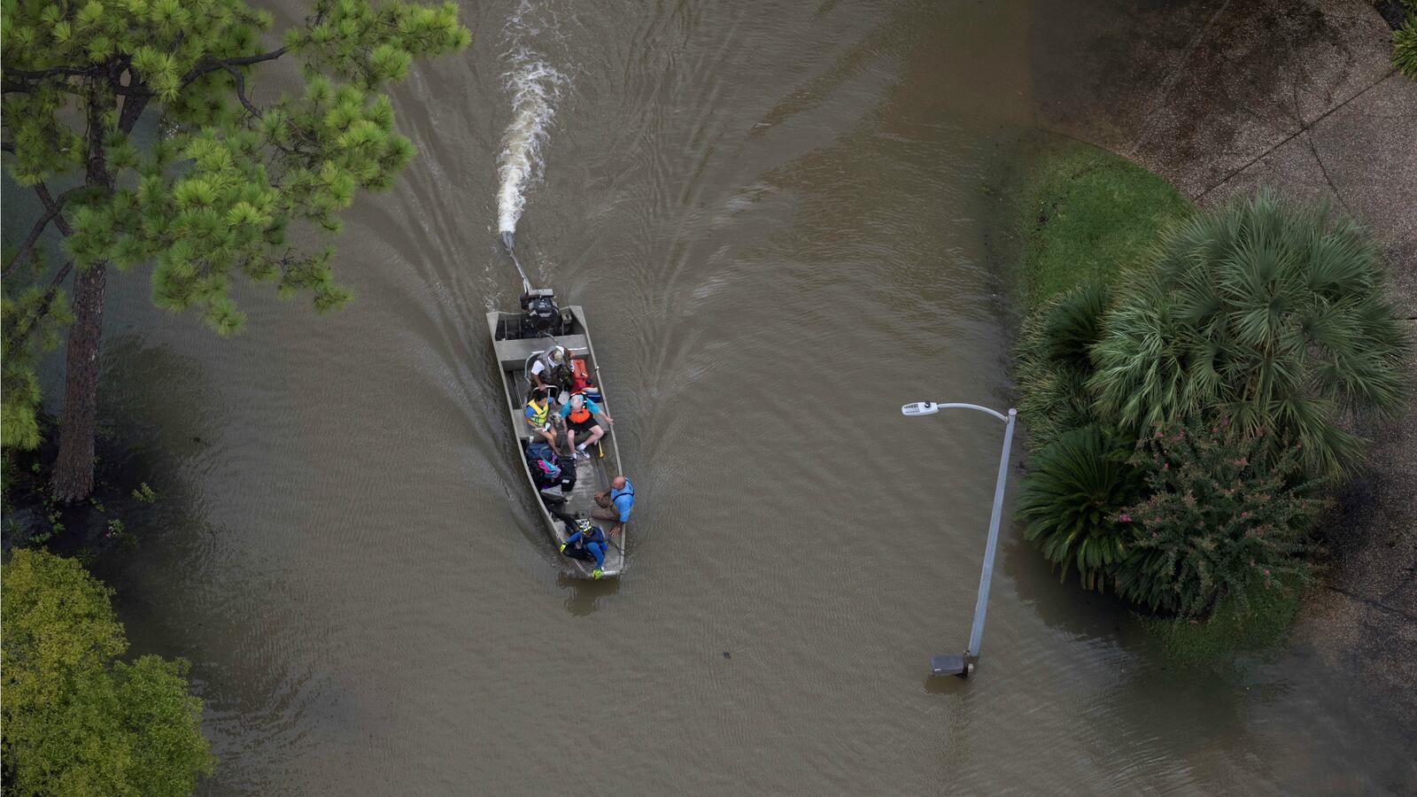 170904-harvey-volunteer-DACA-dies-cheat_xdj5ri