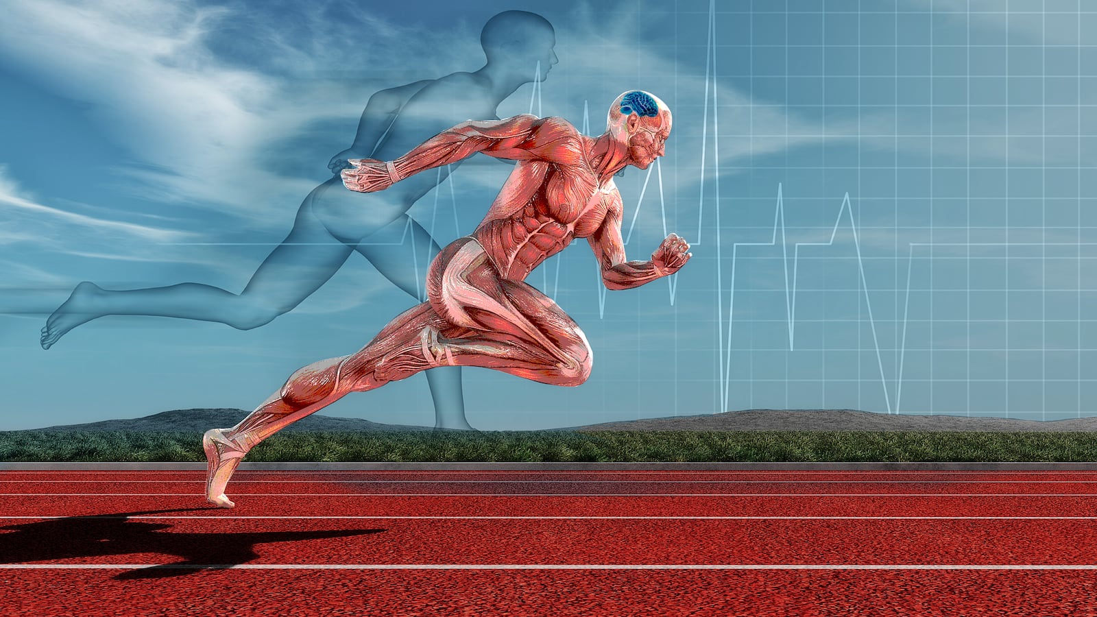 180221-Hutchinson-Human-endurance-hero__tqaxct