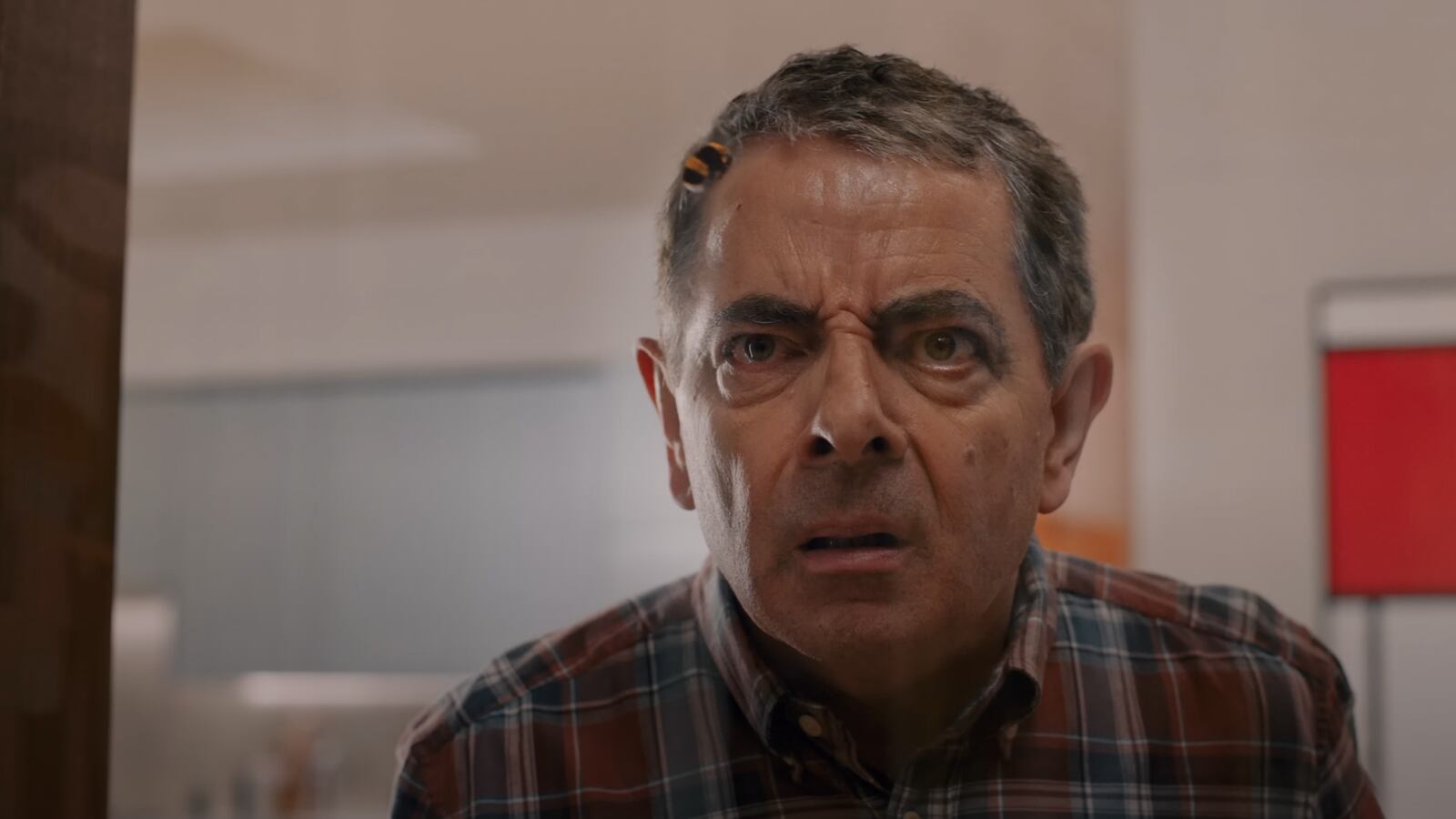 A man looks at a bee that's floating in front of his face.