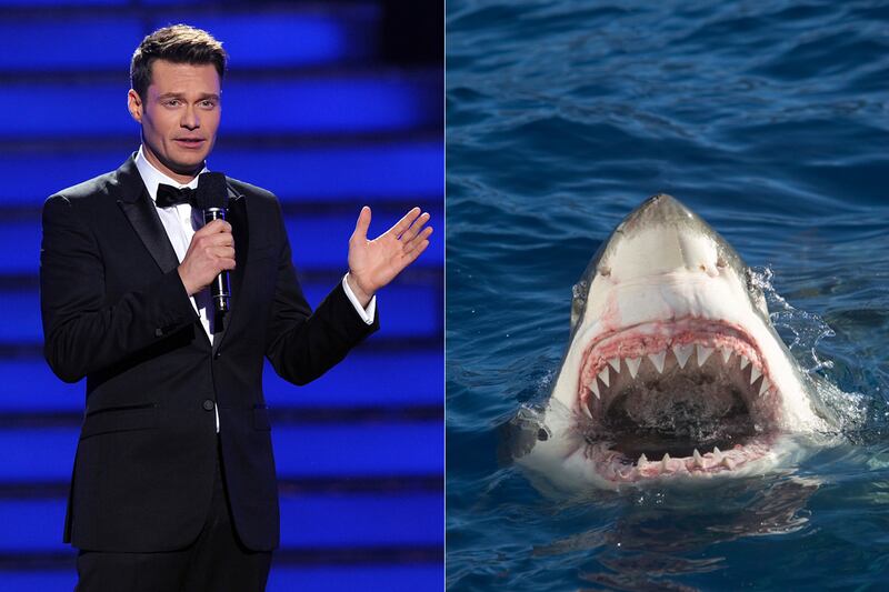 galleries/2012/02/15/shakira-attacked-by-sea-lion-and-more-celebrity-animal-attacks-photos/when-animals-attack-ryan-seacrest_s5jbpf
