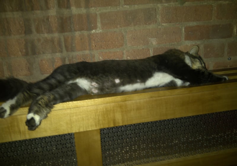 galleries/2010/12/30/best-celebrity-twit-pics/twitpi0102---katy-perry_fk9aa1