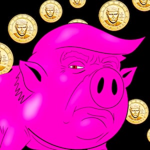Donald Trump coin photo illustration
