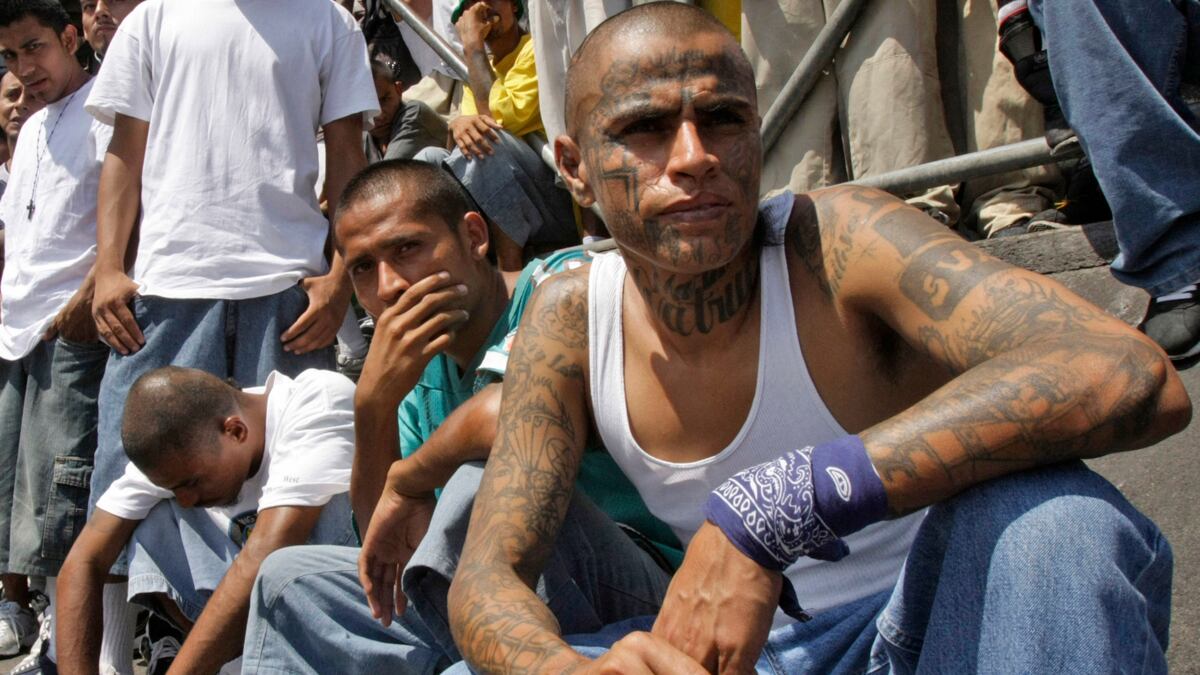 cheats/2012/07/16/el-salvador-murder-rate-down/el-salvador-gangs-mara-salvatrucha-cheat_jhizqo