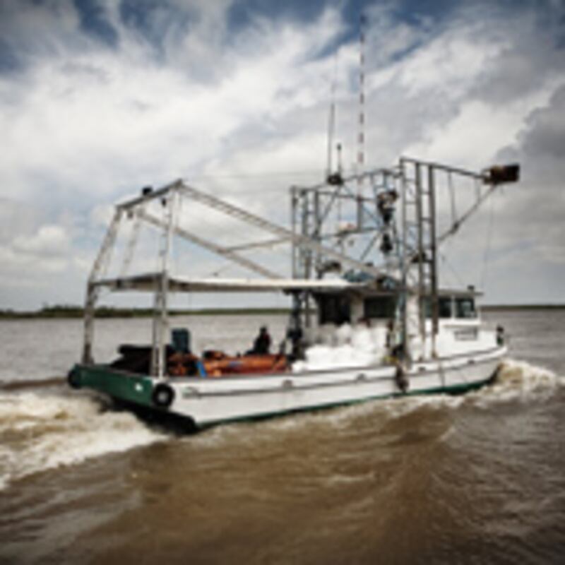 articles/2010/08/17/bp-oil-spill-cover-up/outzen-bp-cover-up_120484_d0ogde