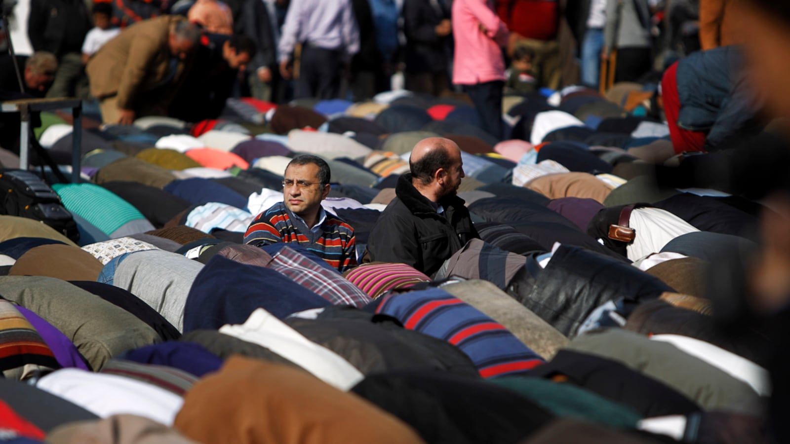 cheats/2011/12/04/egyptian-islamists-grab-60-percent/egypt-official-election-results-cs_hzfzwg