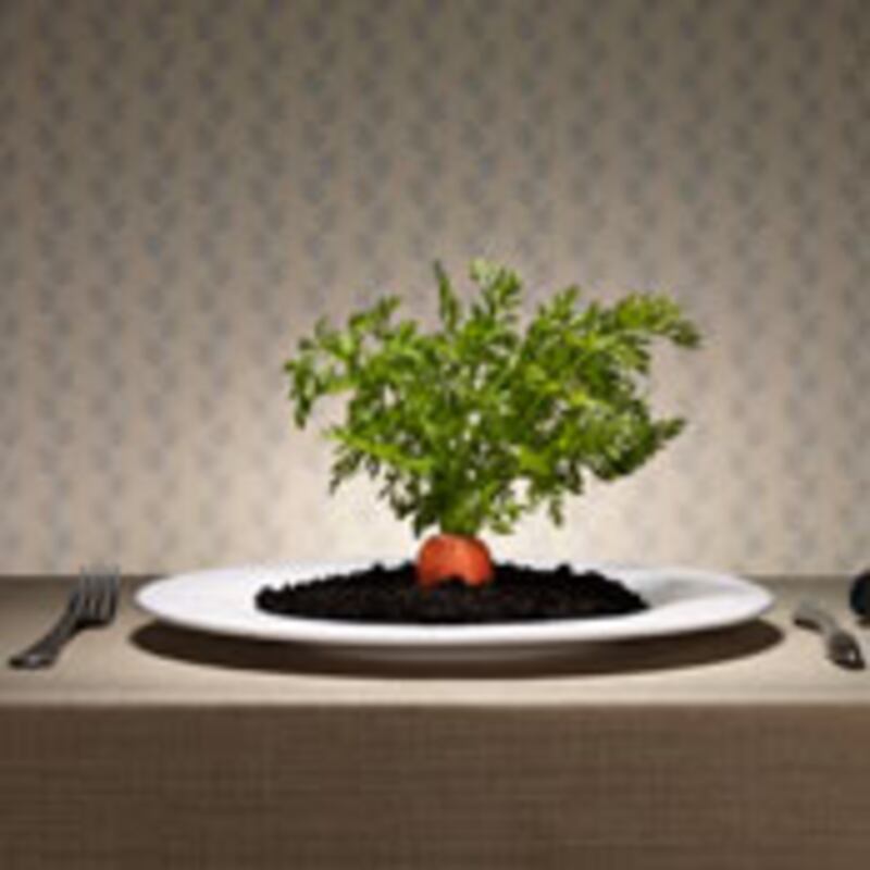 articles/2009/08/11/is-your-food-really-organic/goodbody-organics_42961_rdxmng