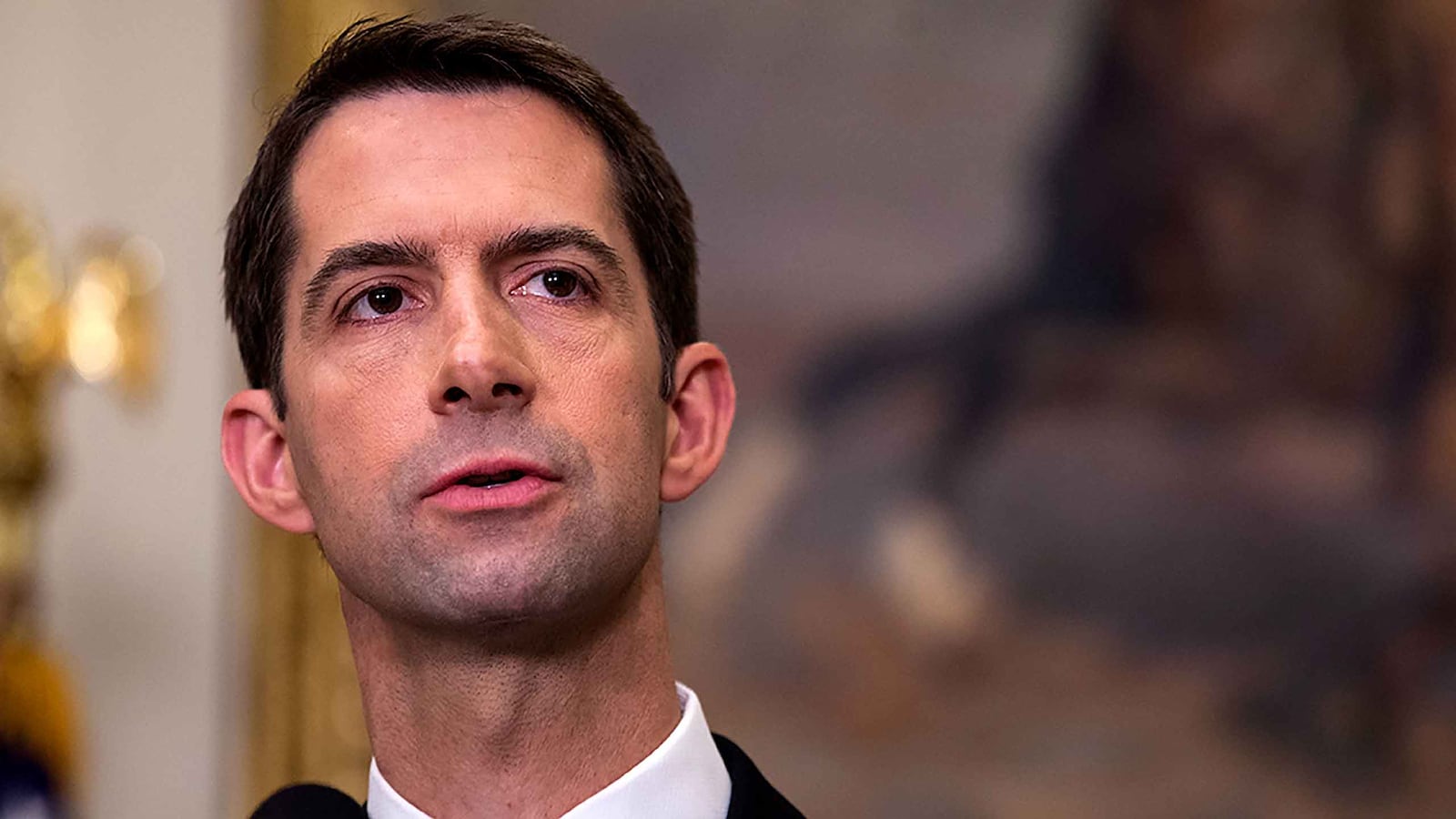 171201-swin-tom-cotton-hero_okgbxu