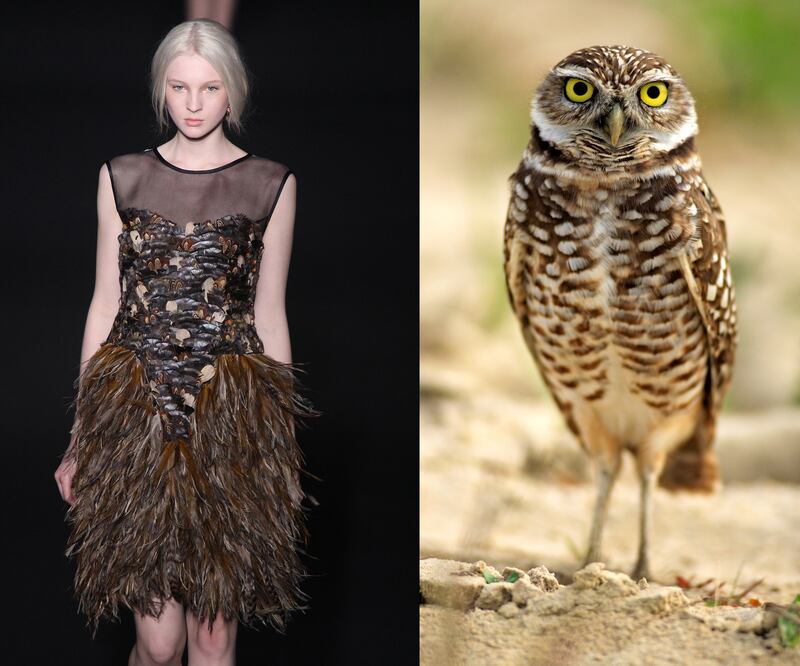 galleries/2014/03/06/fendi-lanvin-and-more-fashion-week-pieces-that-looked-like-animals/gal-2014-fashion-wild-10_lhlqyu