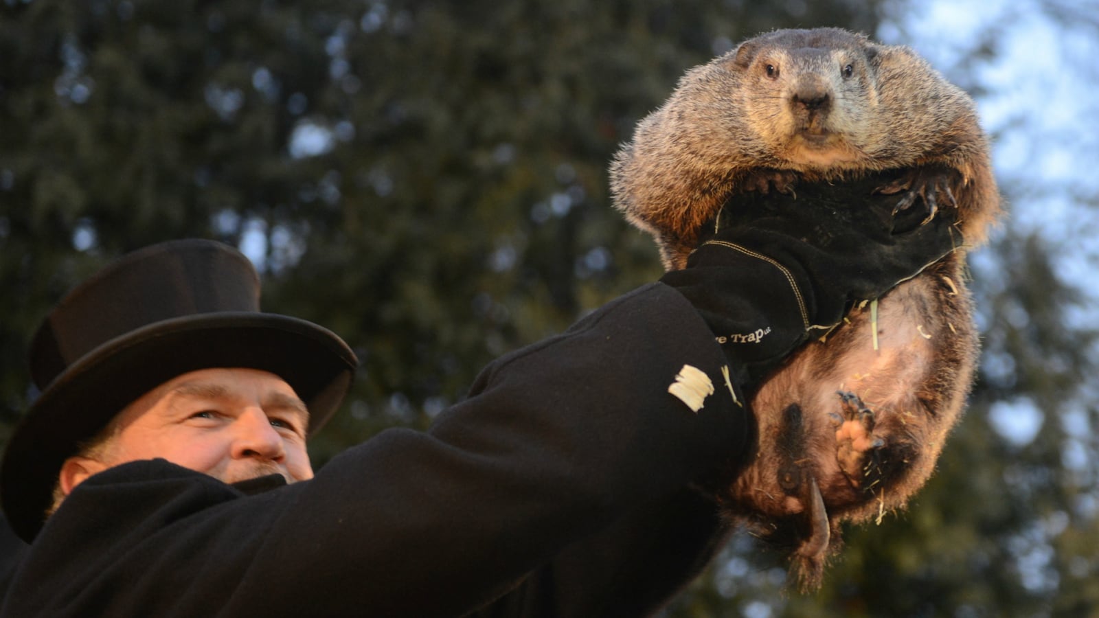 REUTERSAlan_Freed_m7pz1b