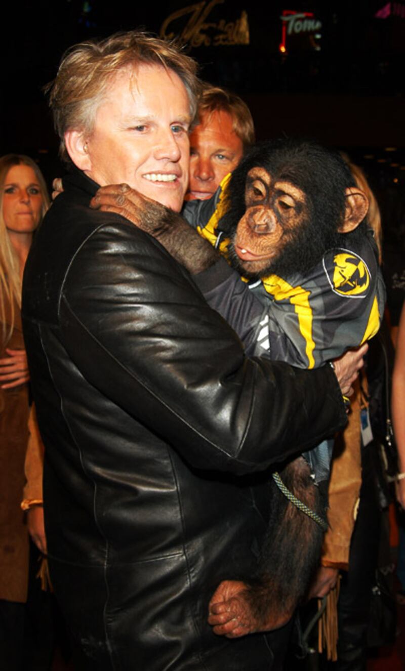 galleries/2011/05/20/animal-red-carpet/animal-red-carpet---gary-busey_lok2if