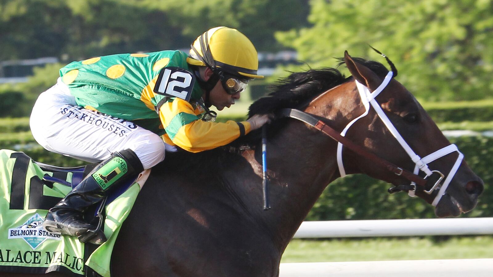 cheats/2013/06/09/palace-malice-wins-belmont/130609-belmont-stakes-cheat_ook2rk