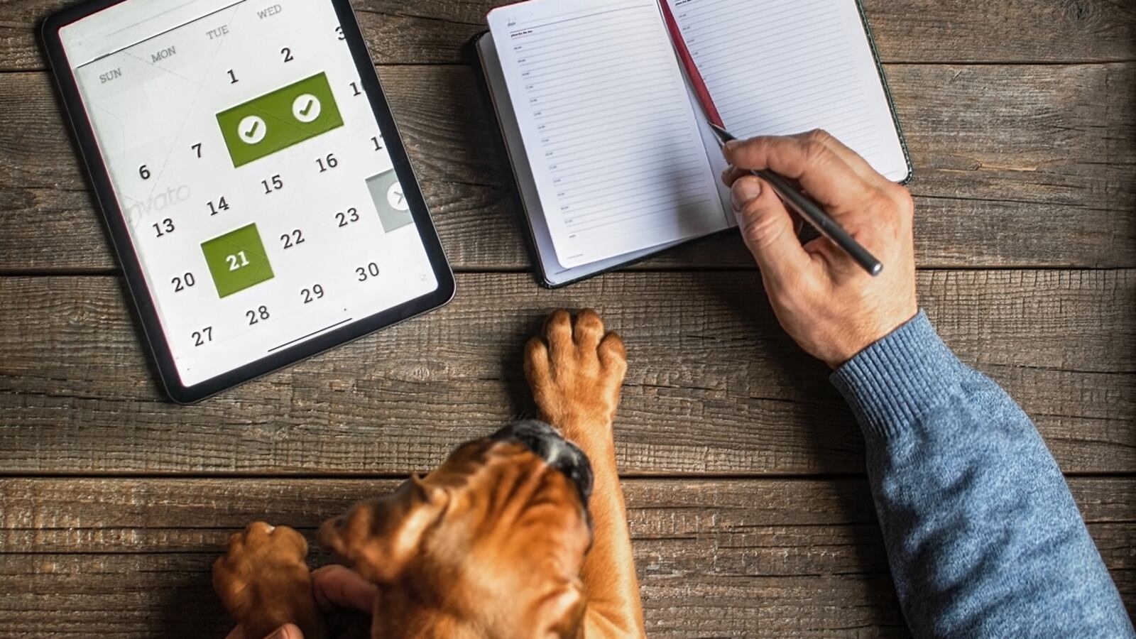 iStock-1363479396_fsbhri