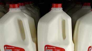 cheats/2010/11/04/get-ready-for-higher-food-prices/food-prices_en4k4a